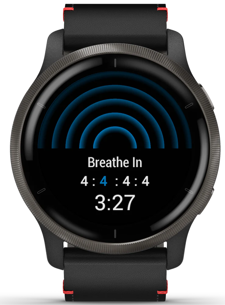 Garmin Venu 2 Slate Watch - Image 7