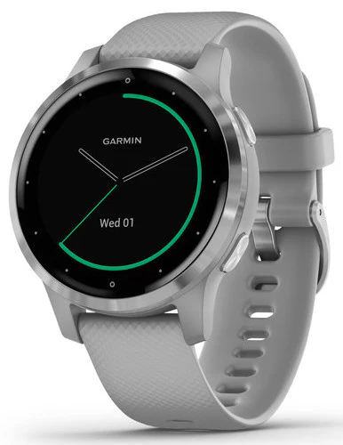 Garmin Watch Vivoactive 4S Powder Grey with Silver