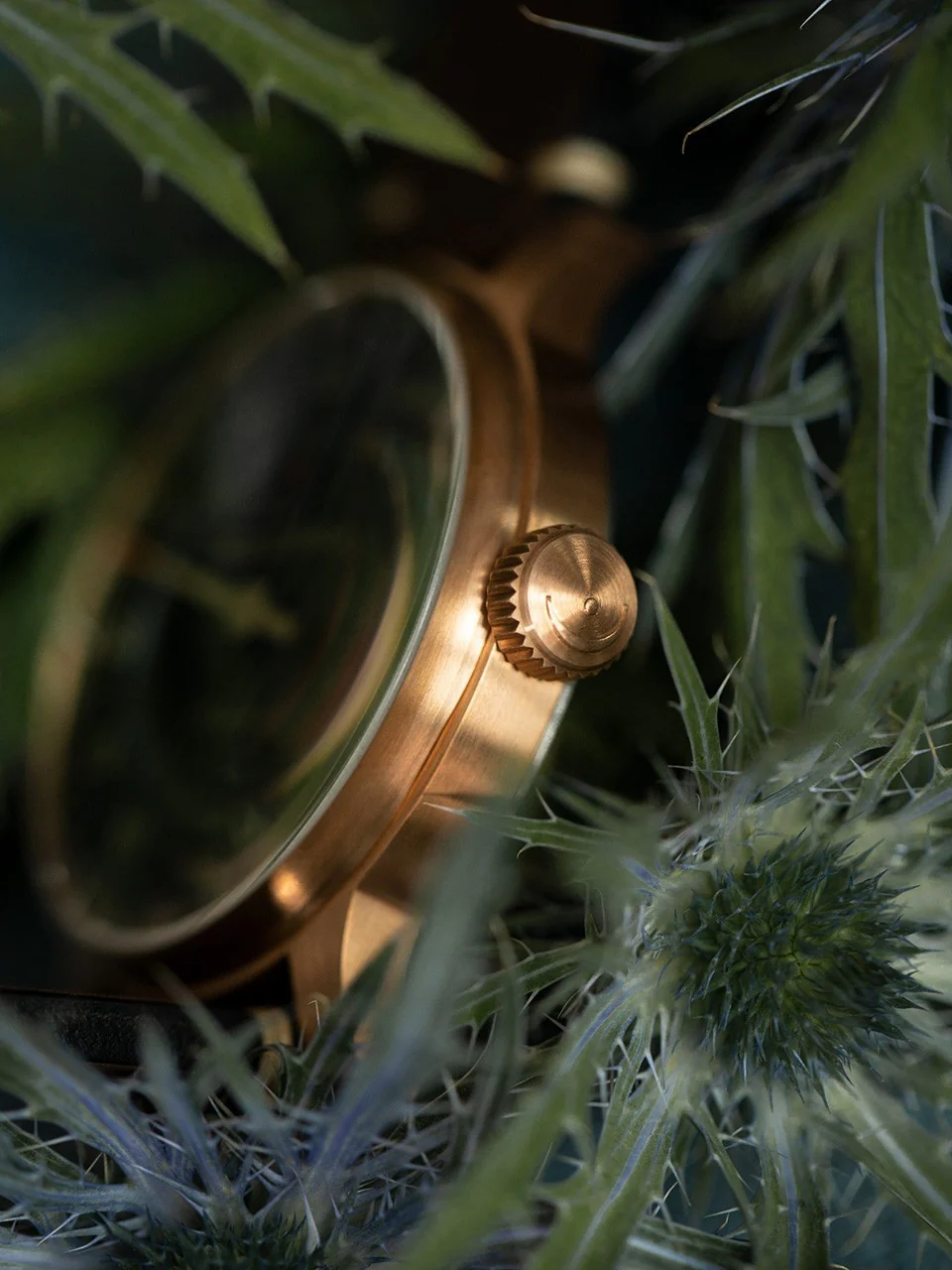 Meistersinger Watch Perigraph Bronze Line - Image 5
