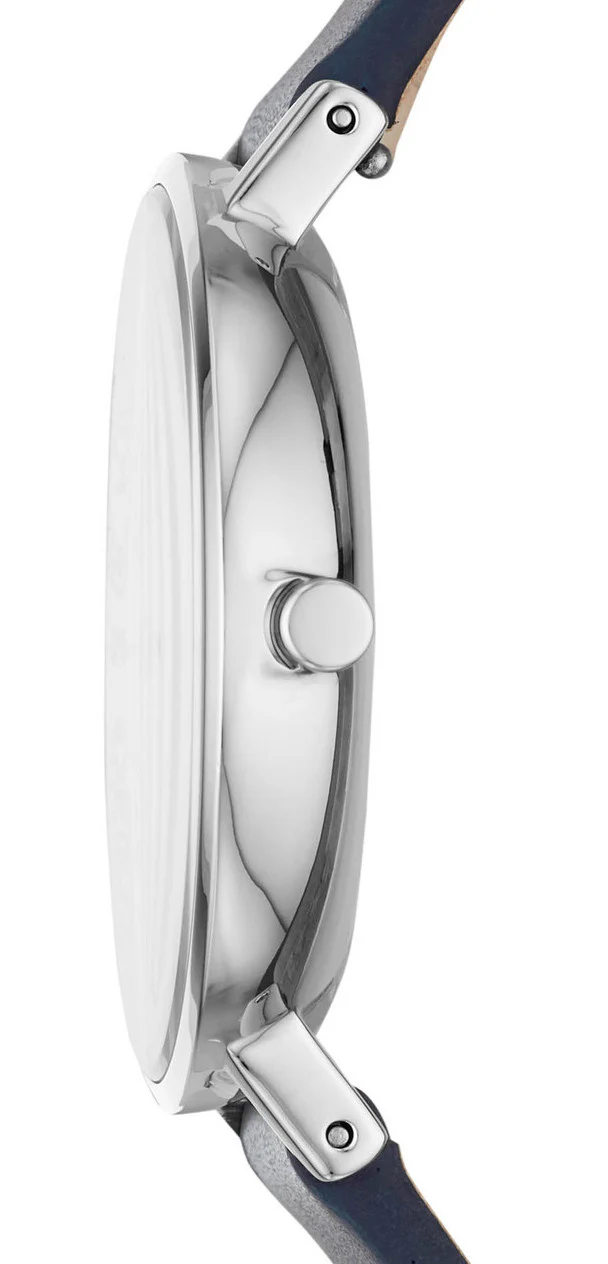 Skagen Watch Aaren Birds Blue Unisex - Image 2