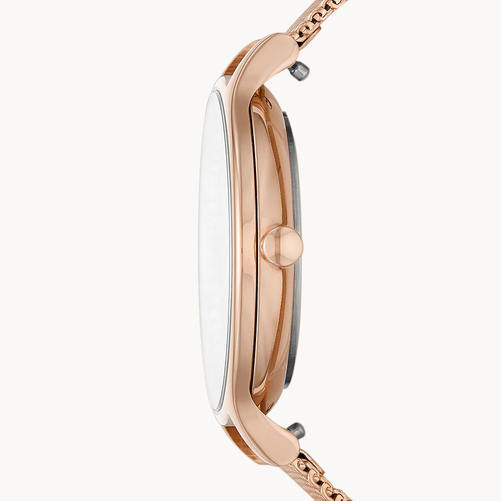 Skagen Watch Anita Ladies - Image 3