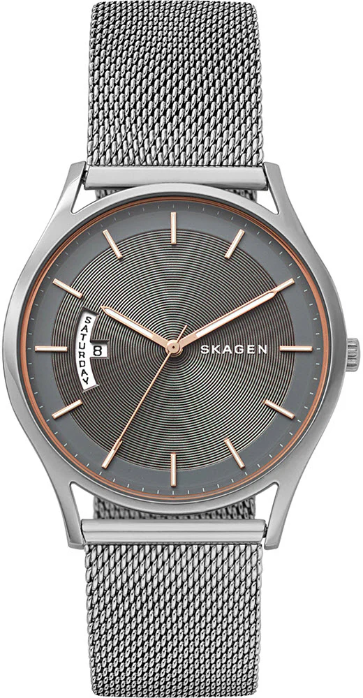 Skagen Watch Holst Mens