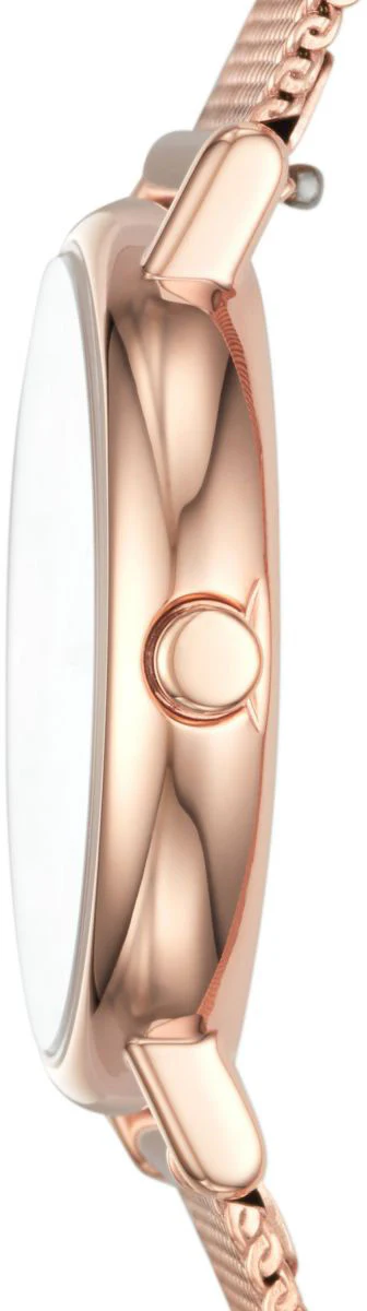 Skagen Signatur Ladies - Image 3