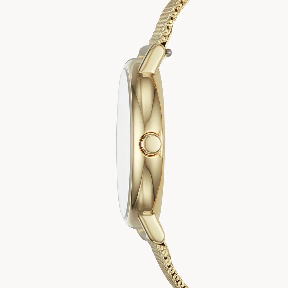 Skagen Watch Signatur Ladies - Image 3