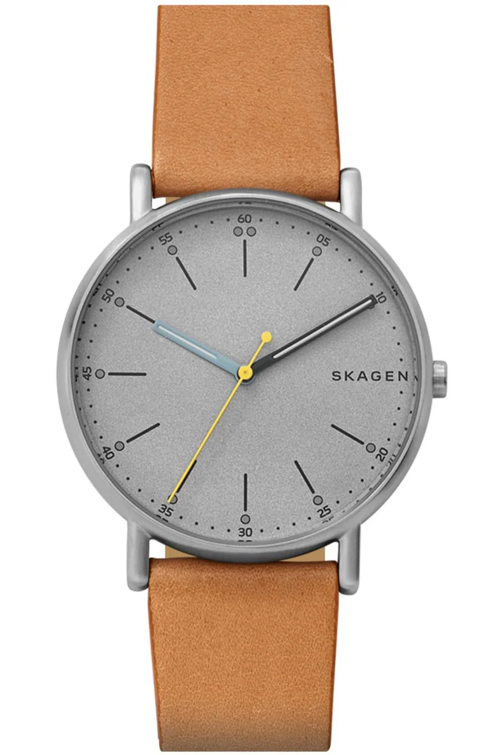 Skagen Watch Signatur Mens