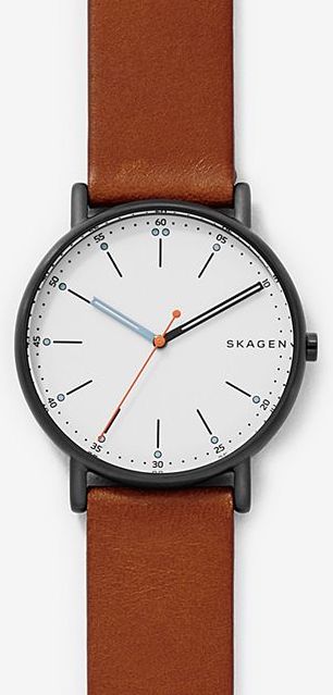 Skagen Signatur Mens