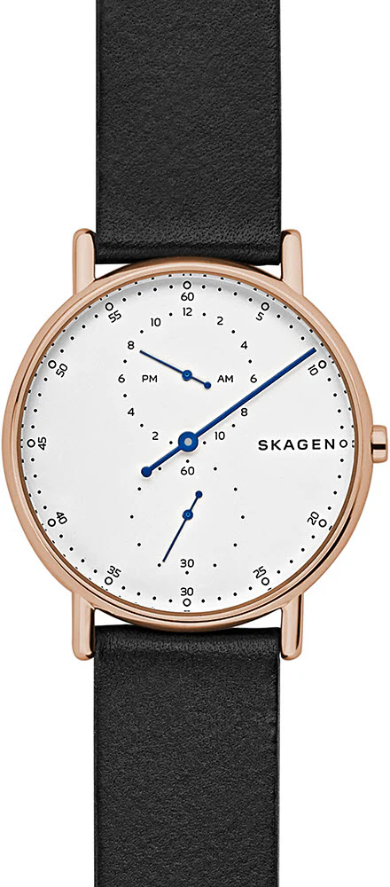 Skagen Watch Signatur Mens